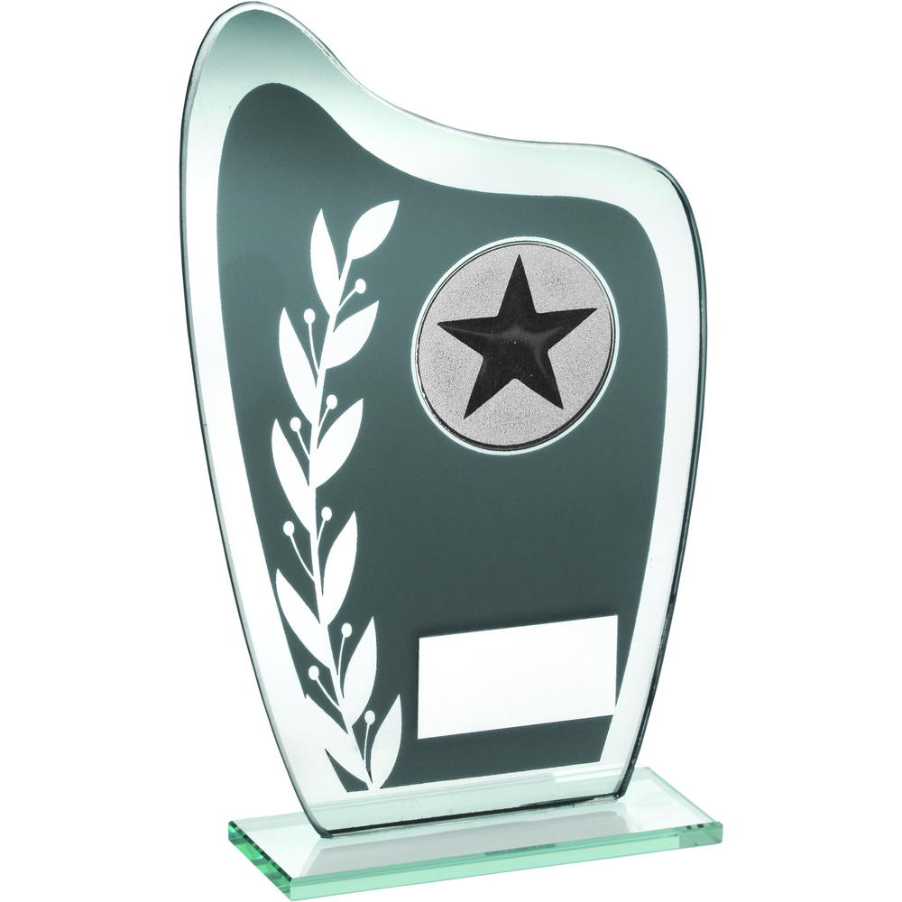 Grey/Silver Glass Plaque Award