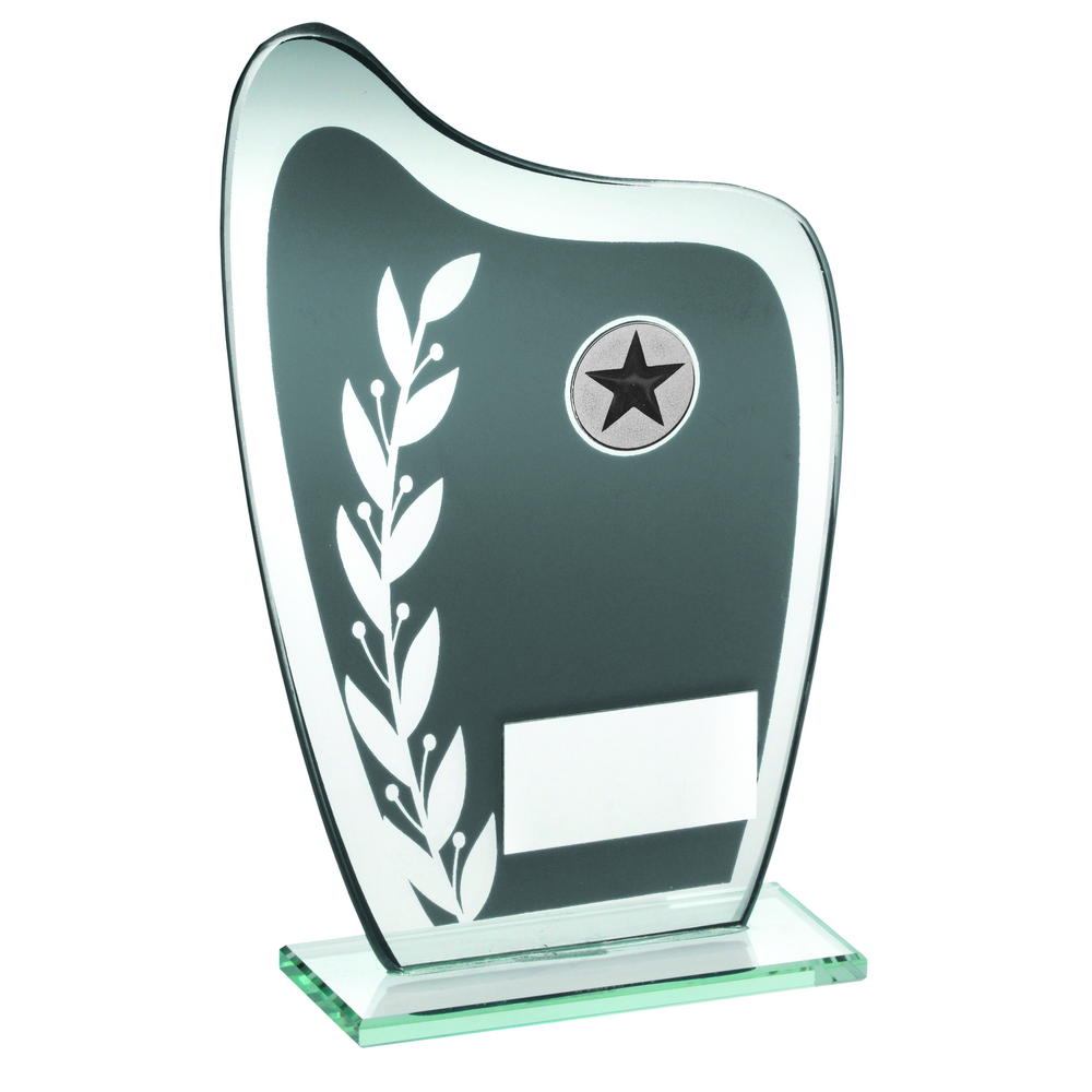 Grey/Silver Glass Plaque Award