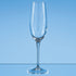 235ml Allegro Champagne Flute