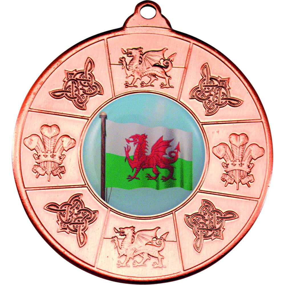 Wales Medal (1in Centre) - Bronze 2in