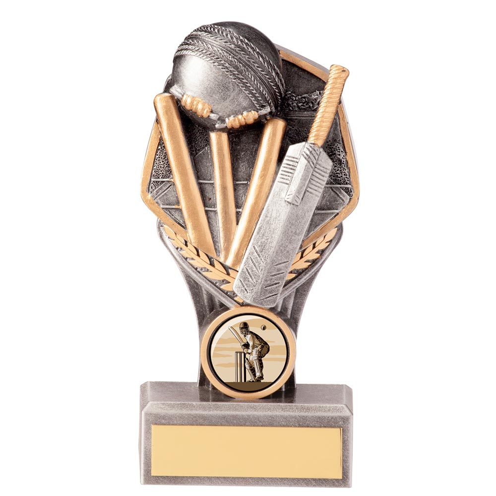 Falcon Cricket Award