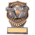 Falcon Football Top Goal Scorer Award