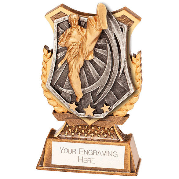 Titan Karate Award