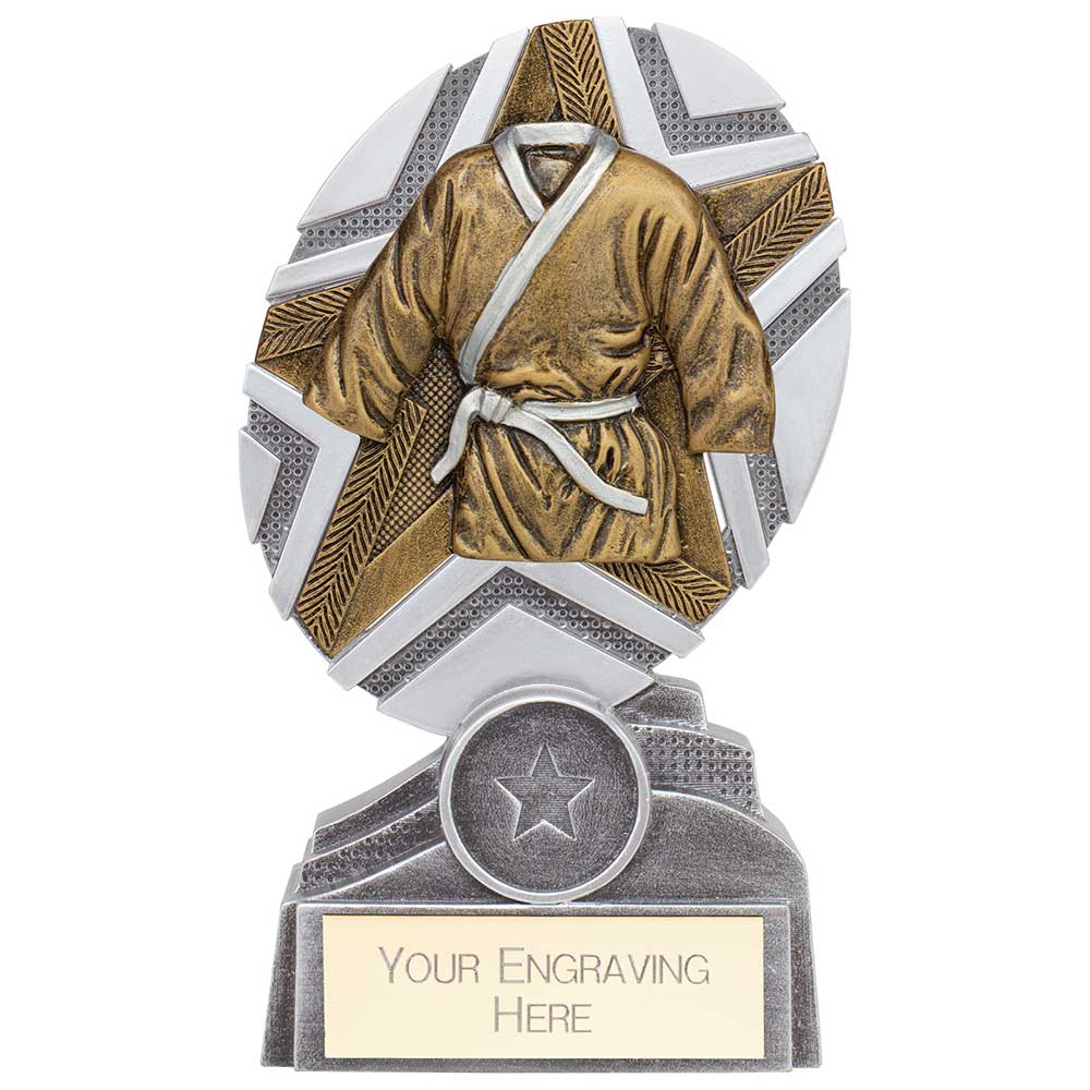 The Stars Martial Arts Plaque Award - Silver & Gold
