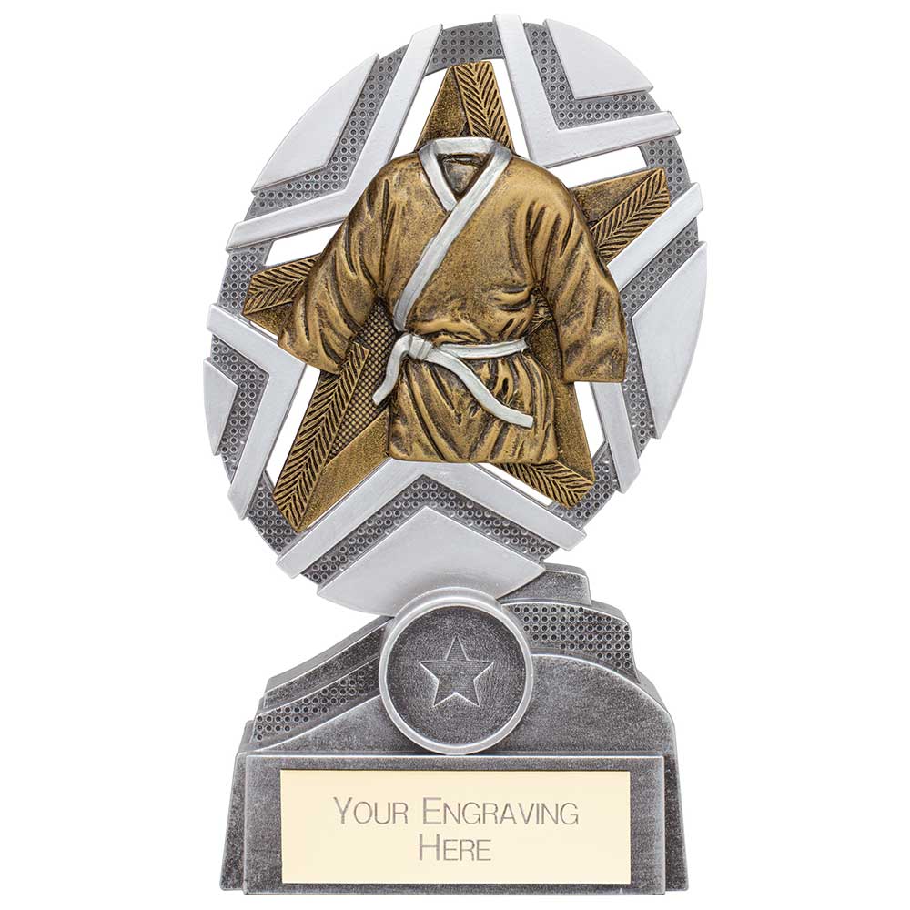 The Stars Martial Arts Plaque Award - Silver & Gold