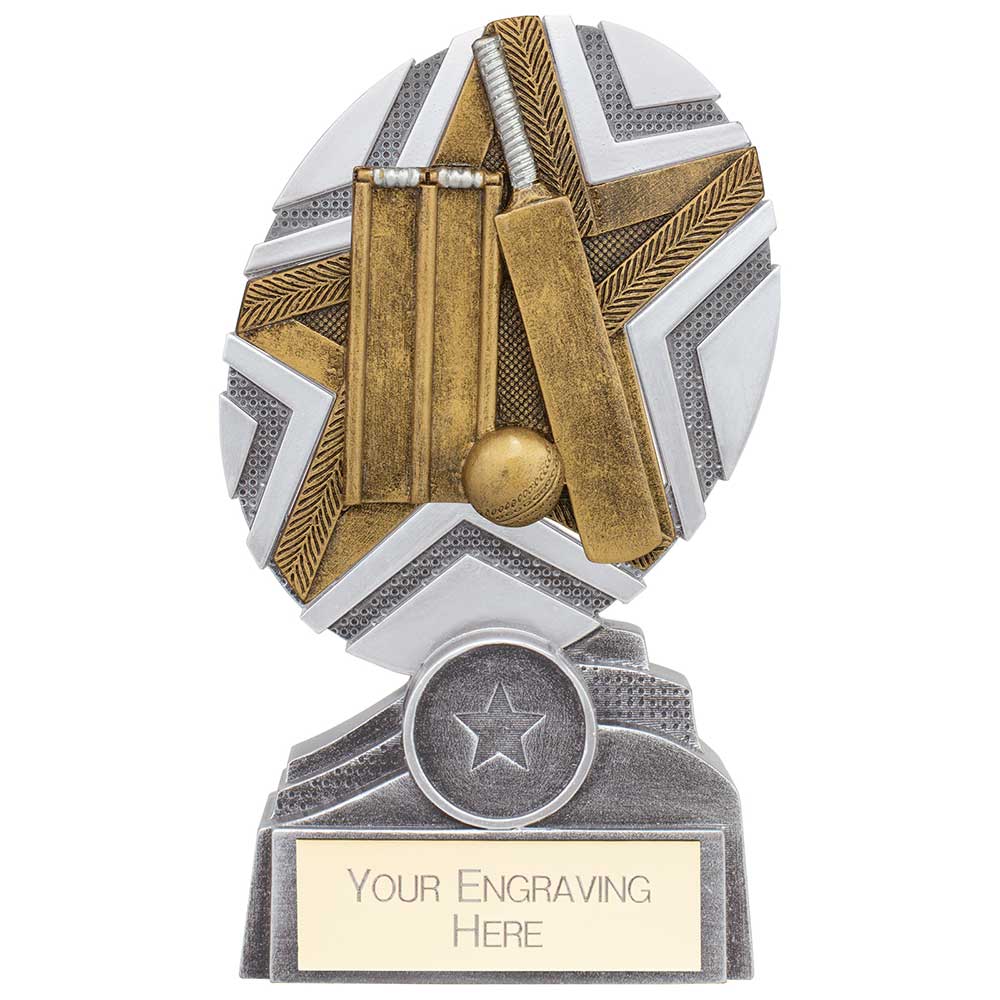 The Stars Cricket Plaque Award - Silver & Gold