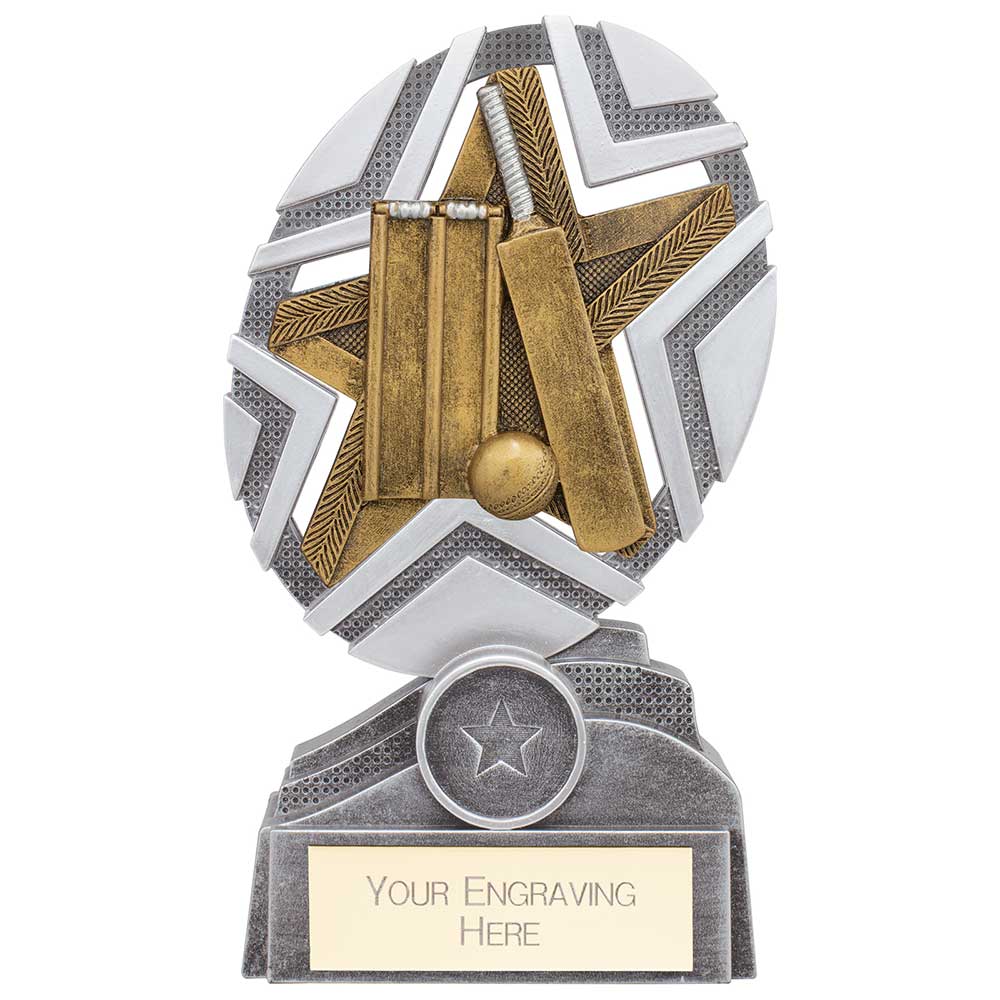 The Stars Cricket Plaque Award - Silver & Gold