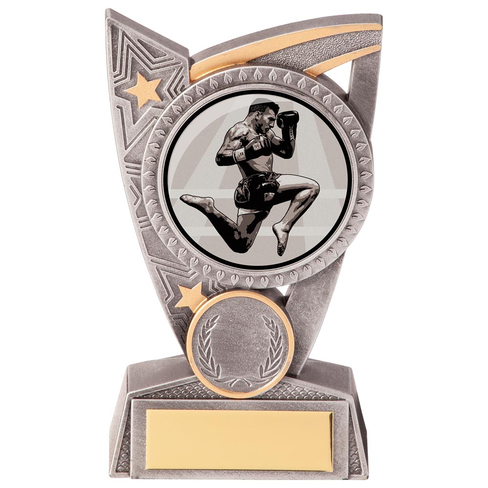 Triumph Kickboxing Award