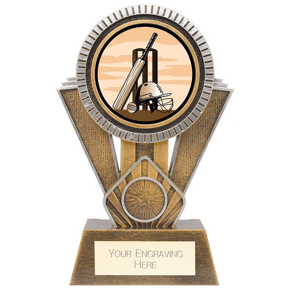 Apex Cricket Award - Gold & Silver