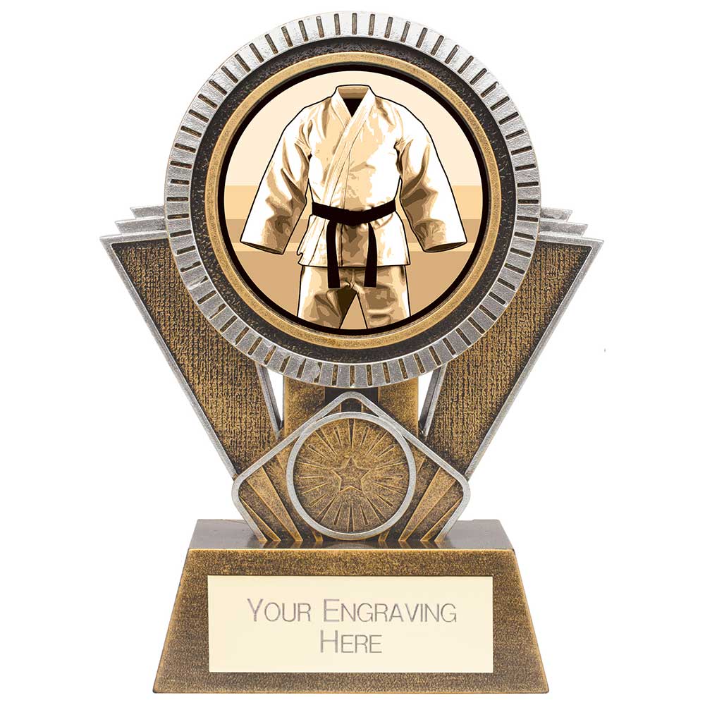 Apex Martial Arts Award - Gold & Silver
