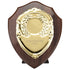 Aegis Wooden Shield with Engraved Front - Cracked Cherry & Gold