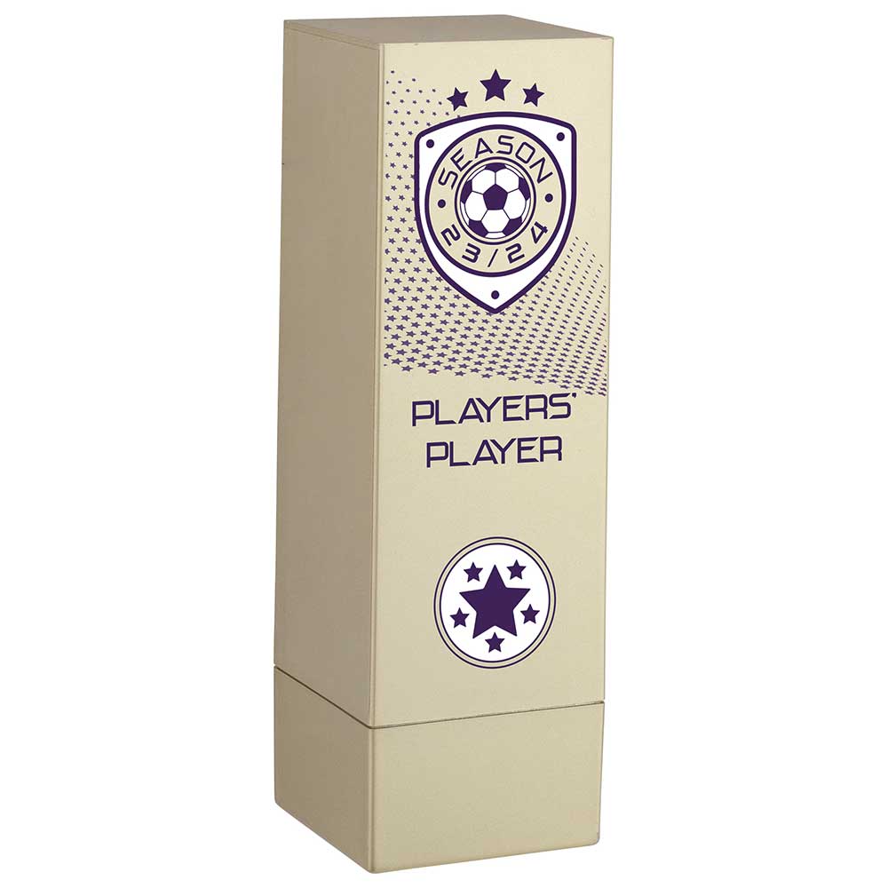 Prodigy Premier Football Tower - Players Player Award - Gold (160mm Height)