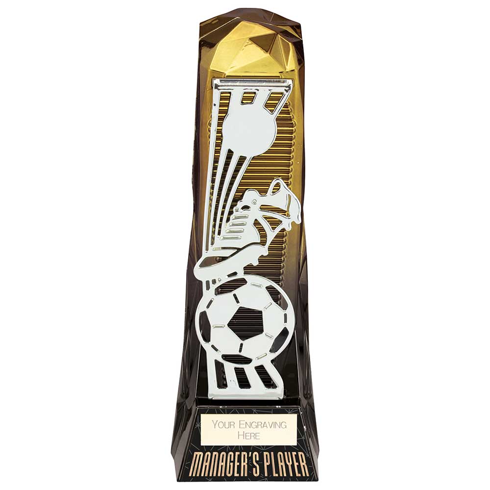 Shard Football Managers Player Award - Gold to Black (230mm Height)