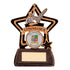 Little Star Attendance Award 105mm