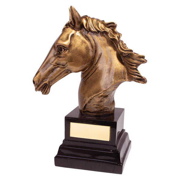 Belmont Equestrian Award 170mm