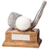 Belfry Golf Iron Award 120mm