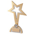 Classic Star Achievement Award 160mm