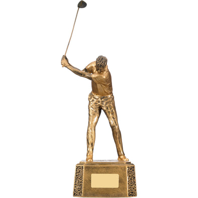 Male Golfer Back Swing 25.5cm Trophy