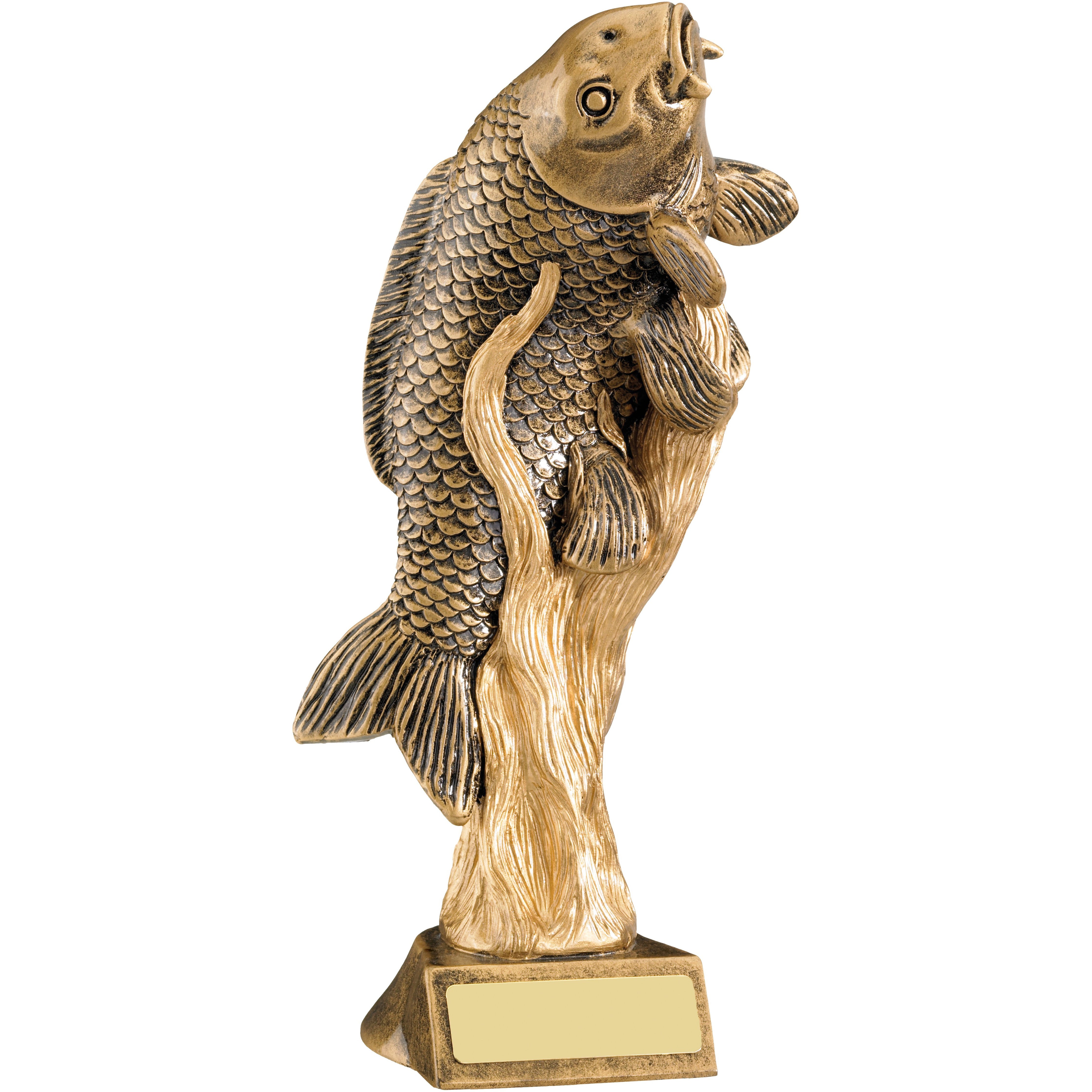 Carp Fishing Trophy - Gold Resin Award 21cm