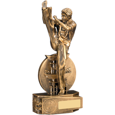Martial Arts Award 23cm