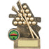 Snooker And Pool Award
