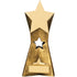 Star Award - Gold Coloured Resin Trophy