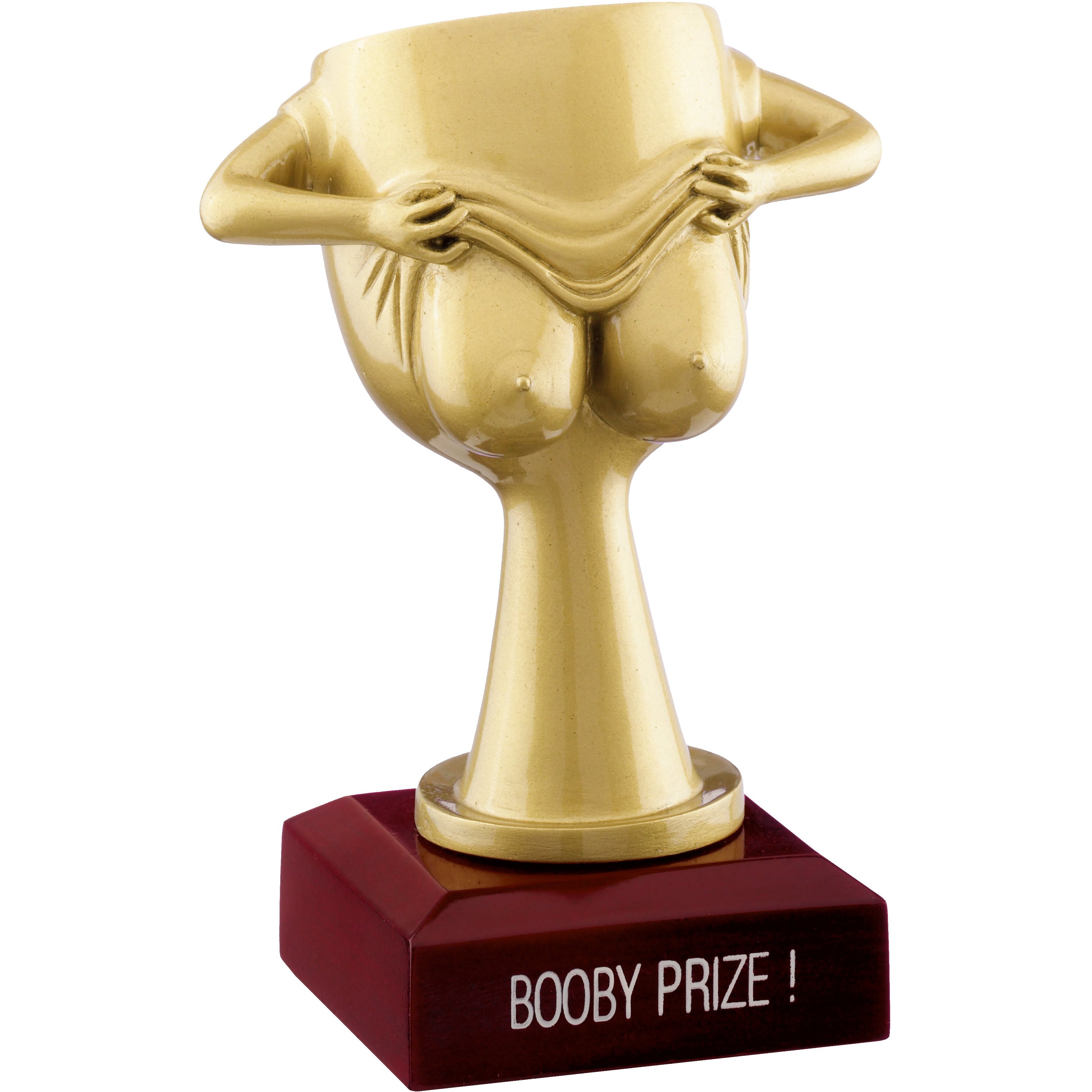 Booby Prize Award 13cm