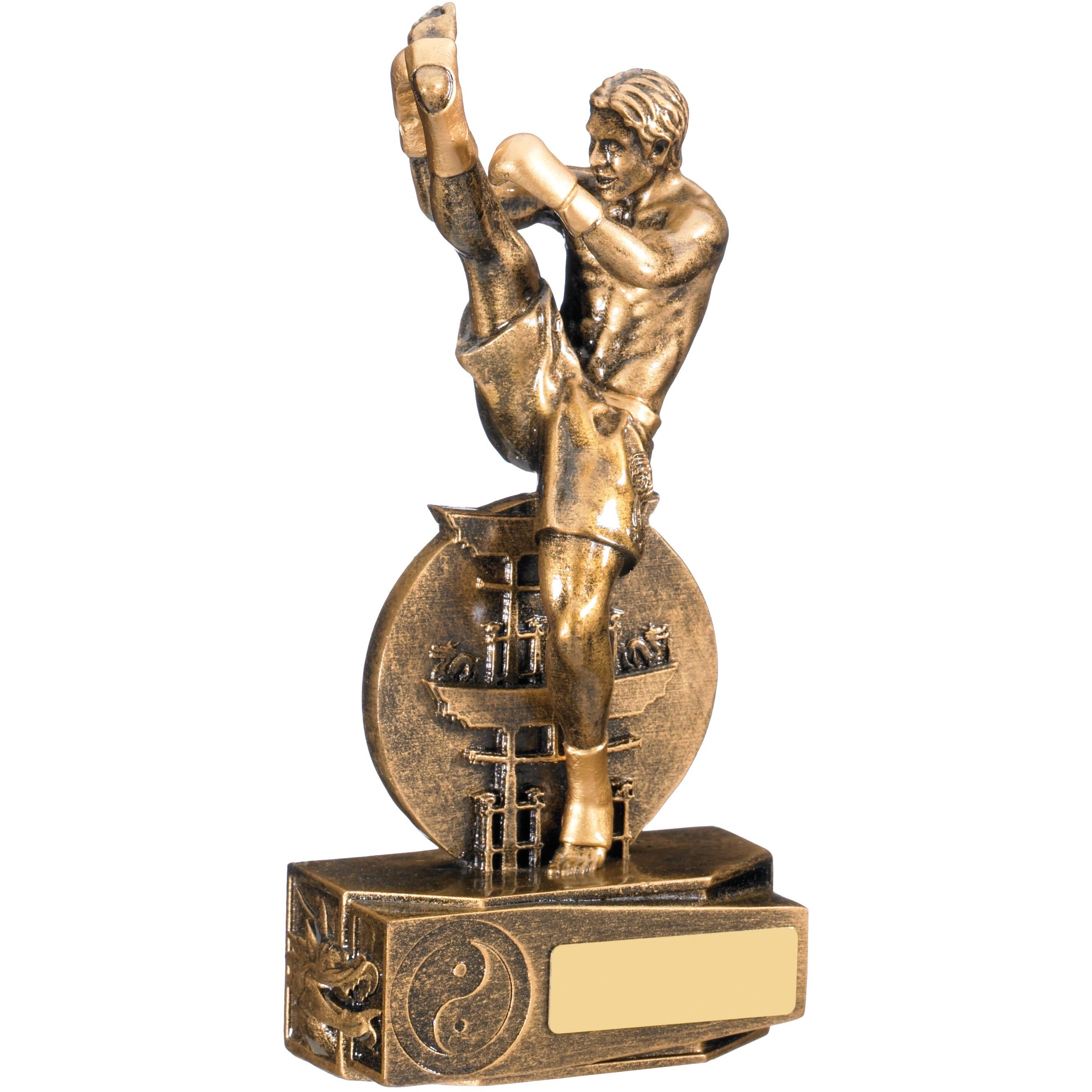 Male Kickboxing Award 19cm