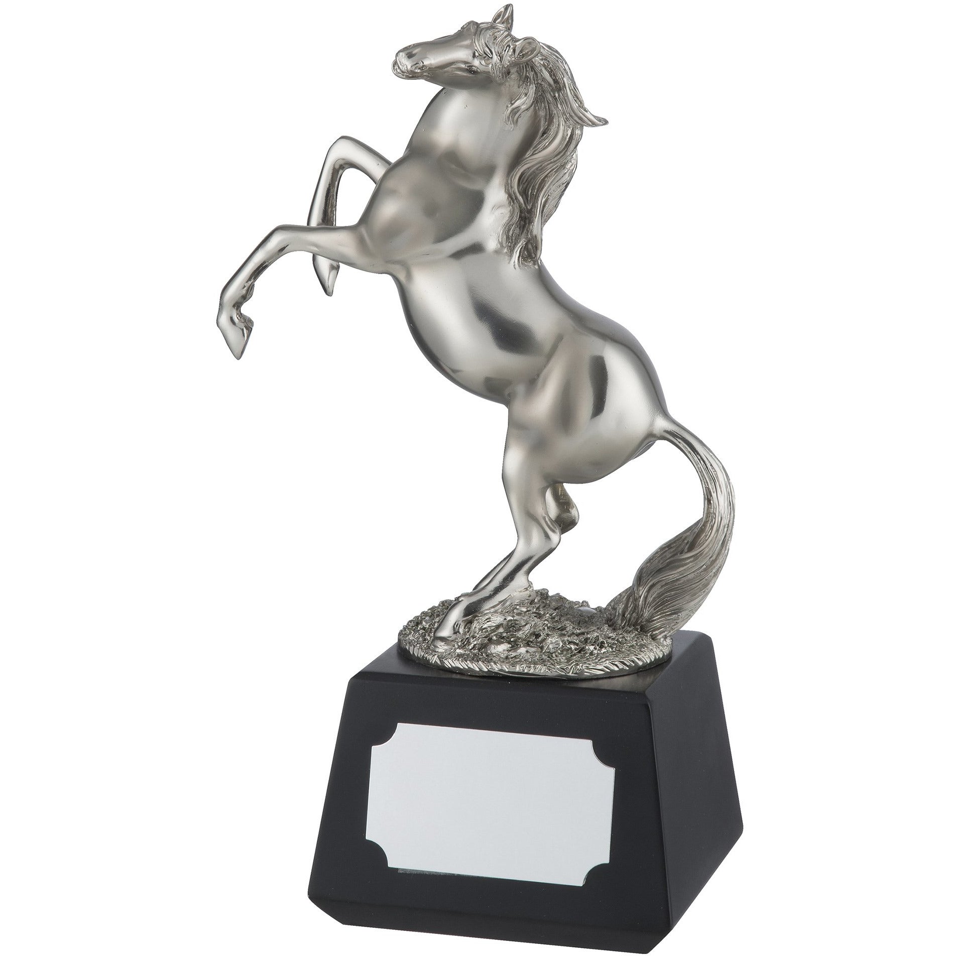 10.5in Horse Award