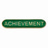Scholar Bar Badge Achievement Green 40mm