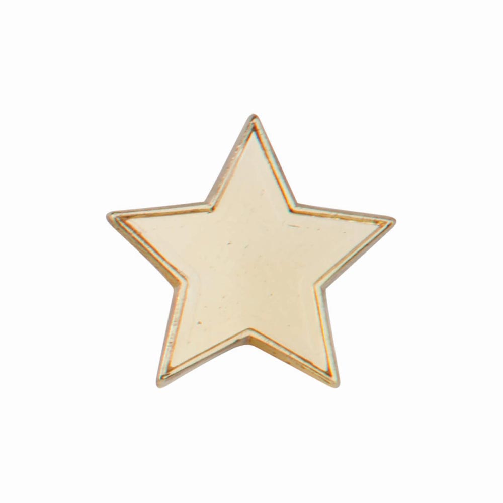 Scholar Pin Badge Star Gold 20mm