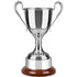 Warwickshire Revolution Trophy Cup