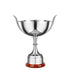 Victory Revolution Cambridge Trophy Cup