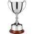 Staffordshire Revolution Trophy Cup on Rosewood Finish Base