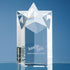 Crystal Star Column Award