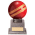 Valiant Legend Cricket Award