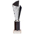 Flash Plastic Chequered Trophy - Black