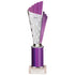 Flash Plastic Chequered Trophy - Purple