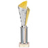 Flash Plastic Chequered Trophy - Gold