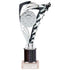 Frenzy Multisport Tube Trophy - Silver & Black