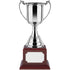 4 Series Revolution Trophy Cup on Square Rosewood Base