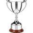 Traditional Endurance Trophy Cup on Rosewood Base