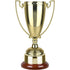 Gold Finish Endurance Trophy Cup on Rosewood Base