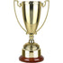 Gold Finish Endurance Trophy Cup on Rosewood Base