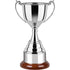 1 Series Revolution Trophy Cup on Rosewood Base
