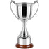 5 Series Revolution Trophy Cup on Rosewood Base